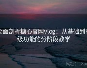 全面剖析糖心官网vlog：从基础到高级功能的分阶段教学