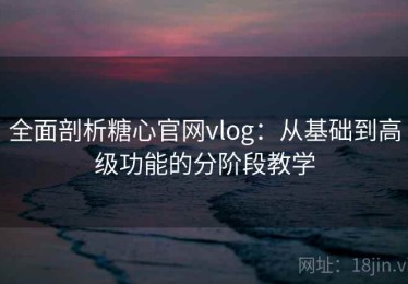 全面剖析糖心官网vlog：从基础到高级功能的分阶段教学