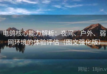 电鸽核心能力解析：夜间、户外、弱网环境的体验评估（图文强化版）
