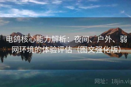 电鸽核心能力解析：夜间、户外、弱网环境的体验评估（图文强化版）