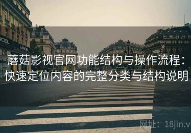蘑菇影视官网功能结构与操作流程：快速定位内容的完整分类与结构说明