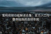 蜜桃视频功能解读合集：官方入口与镜像线路的选择依据