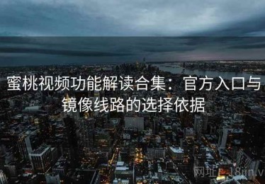 蜜桃视频功能解读合集：官方入口与镜像线路的选择依据