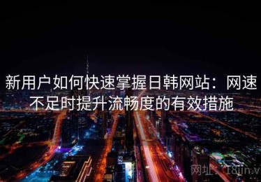 新用户如何快速掌握日韩网站：网速不足时提升流畅度的有效措施