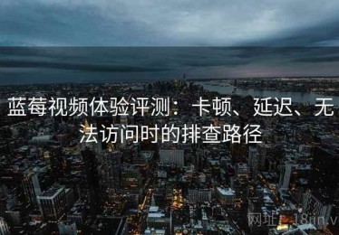 蓝莓视频体验评测：卡顿、延迟、无法访问时的排查路径