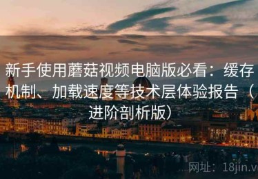 新手使用蘑菇视频电脑版必看：缓存机制、加载速度等技术层体验报告（进阶剖析版）