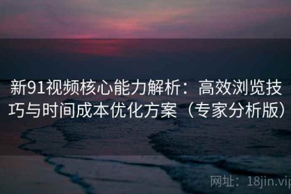 新91视频核心能力解析：高效浏览技巧与时间成本优化方案（专家分析版）