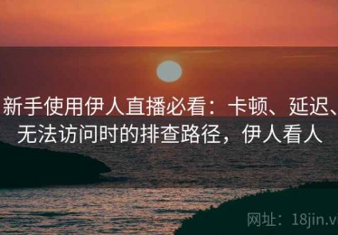 新手使用伊人直播必看：卡顿、延迟、无法访问时的排查路径，伊人看人