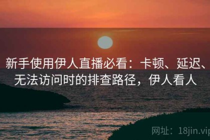 新手使用伊人直播必看：卡顿、延迟、无法访问时的排查路径，伊人看人