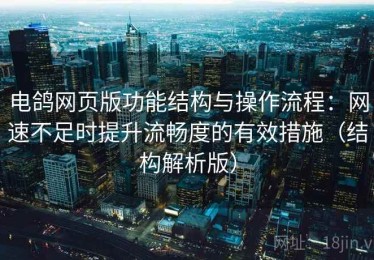 电鸽网页版功能结构与操作流程：网速不足时提升流畅度的有效措施（结构解析版）