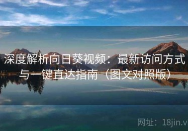 深度解析向日葵视频：最新访问方式与一键直达指南（图文对照版）