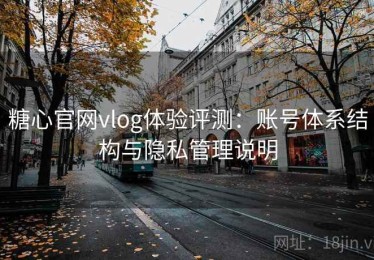 糖心官网vlog体验评测：账号体系结构与隐私管理说明