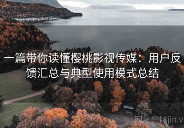 一篇带你读懂樱桃影视传媒：用户反馈汇总与典型使用模式总结