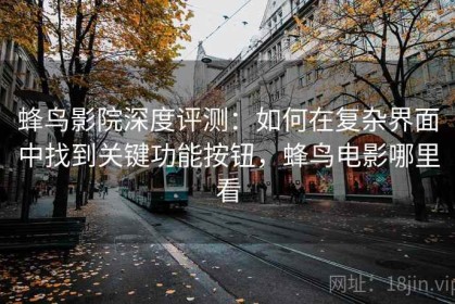 蜂鸟影院深度评测：如何在复杂界面中找到关键功能按钮，蜂鸟电影哪里看