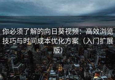 你必须了解的向日葵视频：高效浏览技巧与时间成本优化方案（入门扩展版）