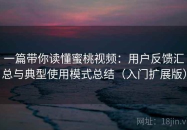 一篇带你读懂蜜桃视频：用户反馈汇总与典型使用模式总结（入门扩展版）