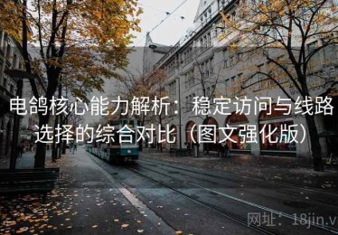 电鸽核心能力解析：稳定访问与线路选择的综合对比（图文强化版）