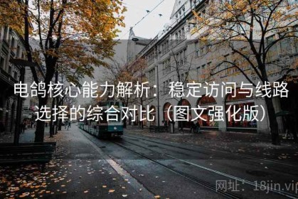 电鸽核心能力解析：稳定访问与线路选择的综合对比（图文强化版）