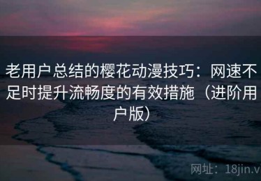 老用户总结的樱花动漫技巧：网速不足时提升流畅度的有效措施（进阶用户版）