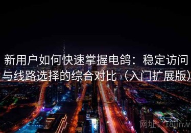 新用户如何快速掌握电鸽：稳定访问与线路选择的综合对比（入门扩展版）