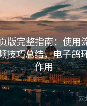 电鸽网页版完整指南：使用流程全解析与高频技巧总结，电子鸽环起什么作用
