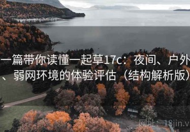 一篇带你读懂一起草17c：夜间、户外、弱网环境的体验评估（结构解析版）