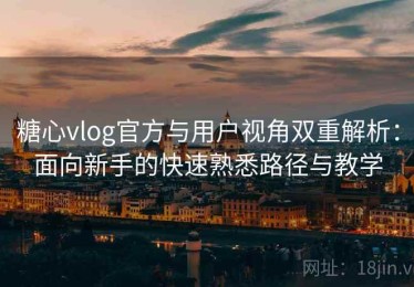 糖心vlog官方与用户视角双重解析：面向新手的快速熟悉路径与教学
