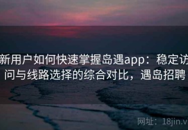 新用户如何快速掌握岛遇app：稳定访问与线路选择的综合对比，遇岛招聘