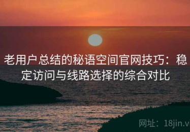 老用户总结的秘语空间官网技巧：稳定访问与线路选择的综合对比