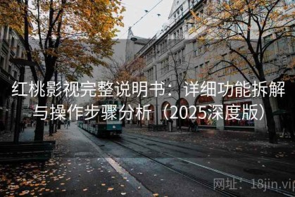 红桃影视完整说明书：详细功能拆解与操作步骤分析（2025深度版）