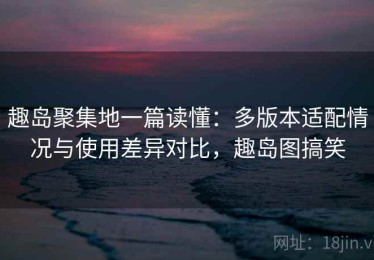 趣岛聚集地一篇读懂：多版本适配情况与使用差异对比，趣岛图搞笑