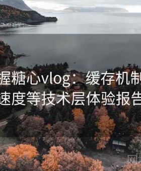 快速掌握糖心vlog：缓存机制、加载速度等技术层体验报告