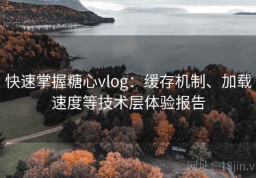 快速掌握糖心vlog：缓存机制、加载速度等技术层体验报告