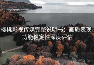 樱桃影视传媒完整说明书：画质表现、功能稳定性深度评估