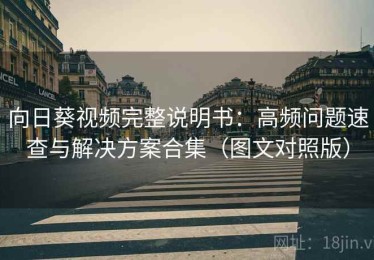 向日葵视频完整说明书：高频问题速查与解决方案合集（图文对照版）
