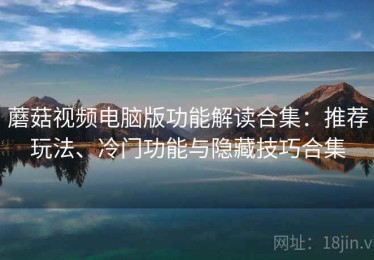 蘑菇视频电脑版功能解读合集：推荐玩法、冷门功能与隐藏技巧合集