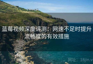 蓝莓视频深度评测：网速不足时提升流畅度的有效措施