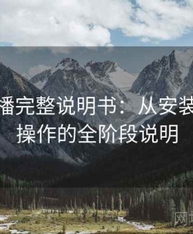 伊人直播完整说明书：从安装到熟练操作的全阶段说明