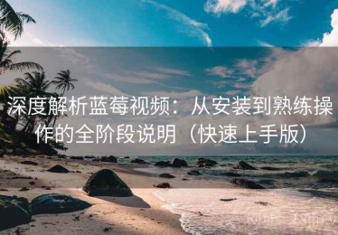 深度解析蓝莓视频：从安装到熟练操作的全阶段说明（快速上手版）