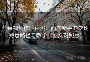 蓝莓视频体验评测：面向新手的快速熟悉路径与教学（图文对照版）