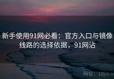 新手使用91网必看：官方入口与镜像线路的选择依据，91网沾