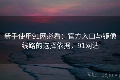新手使用91网必看：官方入口与镜像线路的选择依据，91网沾