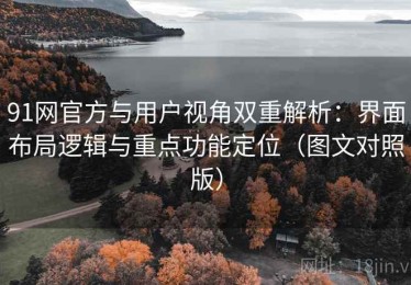 91网官方与用户视角双重解析：界面布局逻辑与重点功能定位（图文对照版）