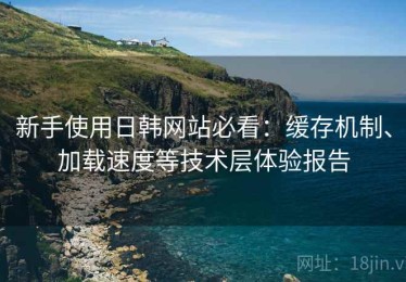新手使用日韩网站必看：缓存机制、加载速度等技术层体验报告