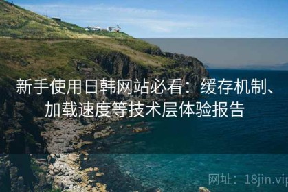 新手使用日韩网站必看：缓存机制、加载速度等技术层体验报告