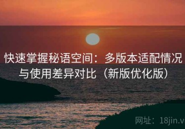 快速掌握秘语空间：多版本适配情况与使用差异对比（新版优化版）