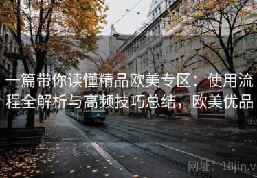 一篇带你读懂精品欧美专区：使用流程全解析与高频技巧总结，欧美优品