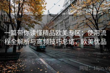 一篇带你读懂精品欧美专区：使用流程全解析与高频技巧总结，欧美优品
