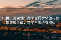 91网一篇读懂：跨平台同步体验与数据管理讲解，跨平台系统有哪些