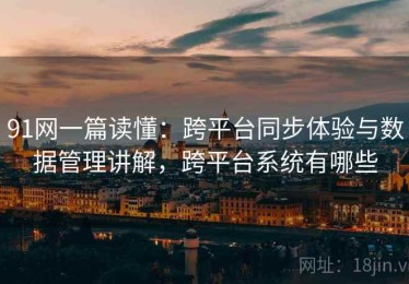 91网一篇读懂：跨平台同步体验与数据管理讲解，跨平台系统有哪些